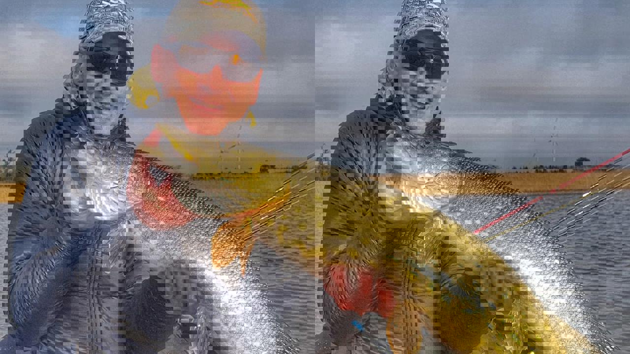 119603093 365687584609734 2086998299239388290 N