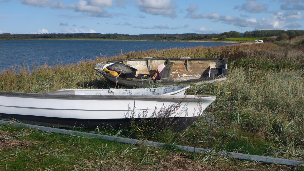 Husbystrand Oktober 2020 (3)