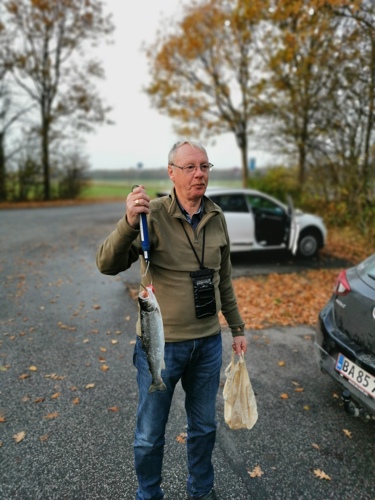 Børges vinderfisk