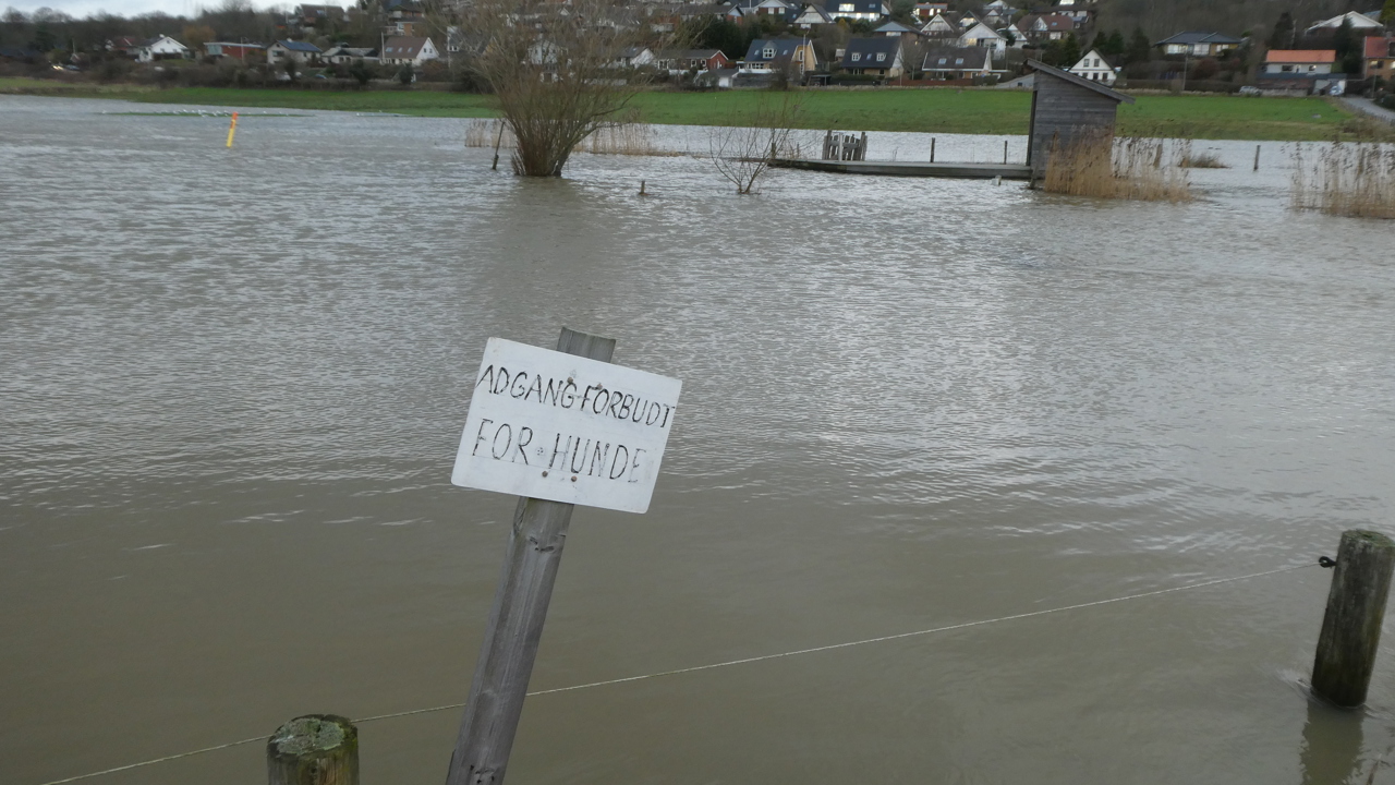 Høj Vandstand Plovfuren 2021 01 21 1