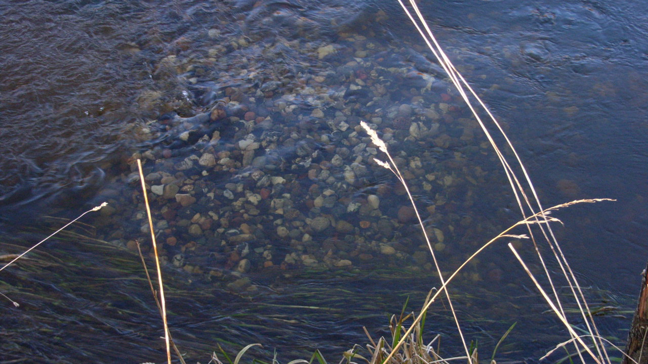 Efterår 2007 360 (1)