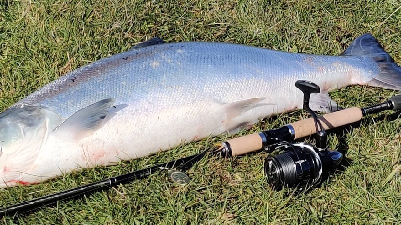 2021 04 Laks april 2020