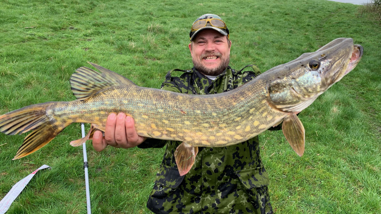 Geddepremiære Keld Kruse 83 Cm