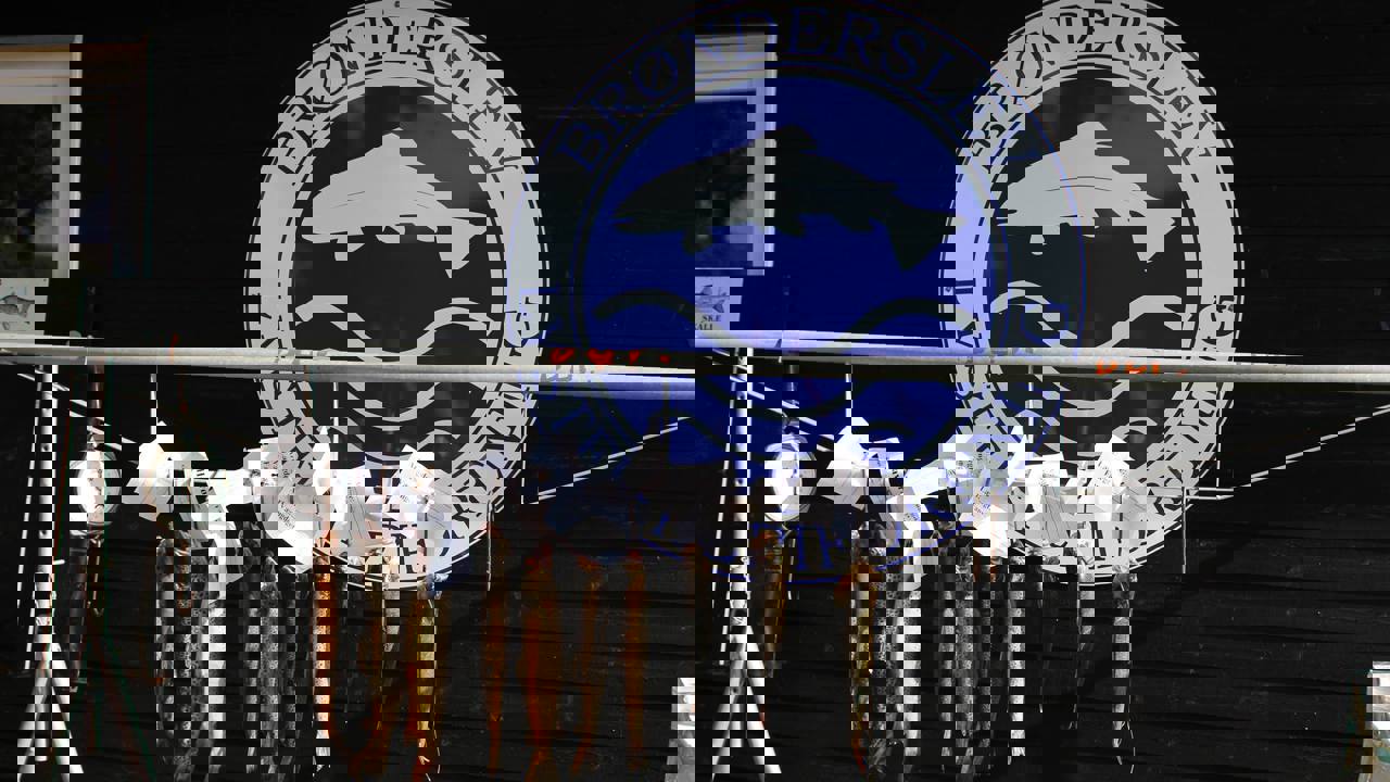 14439023 940765649368763 17191512 O