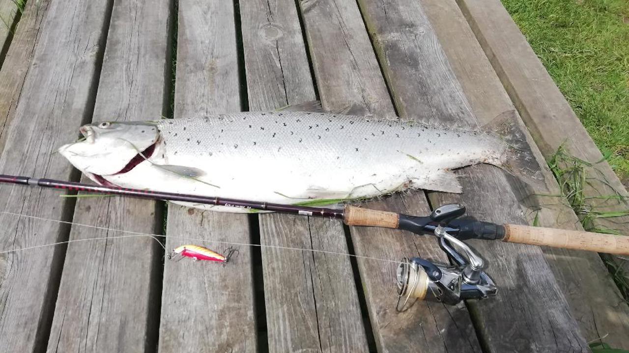 Mogens Møller 71 4,2 2021 06 01