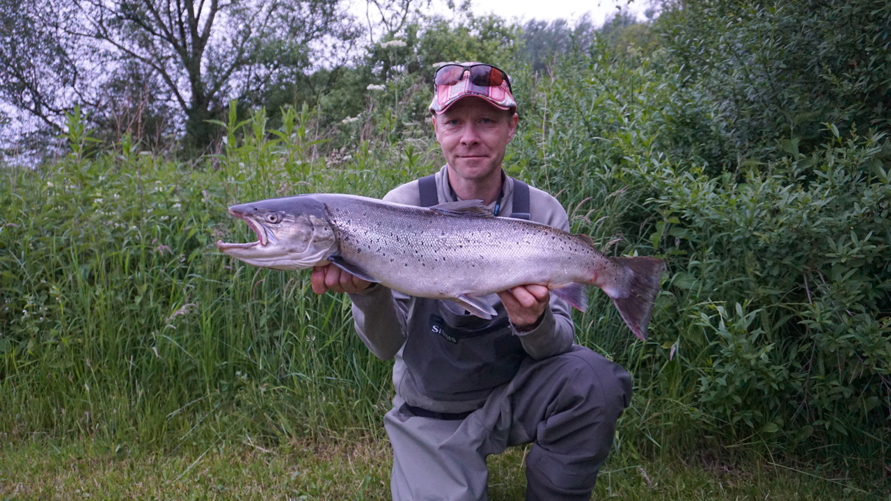 Rene Andersen 80 5,8 13 06 2021