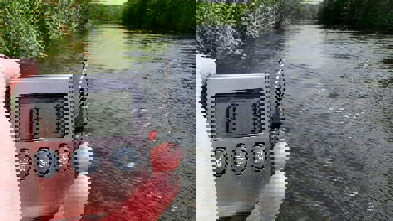Received 221191396537858