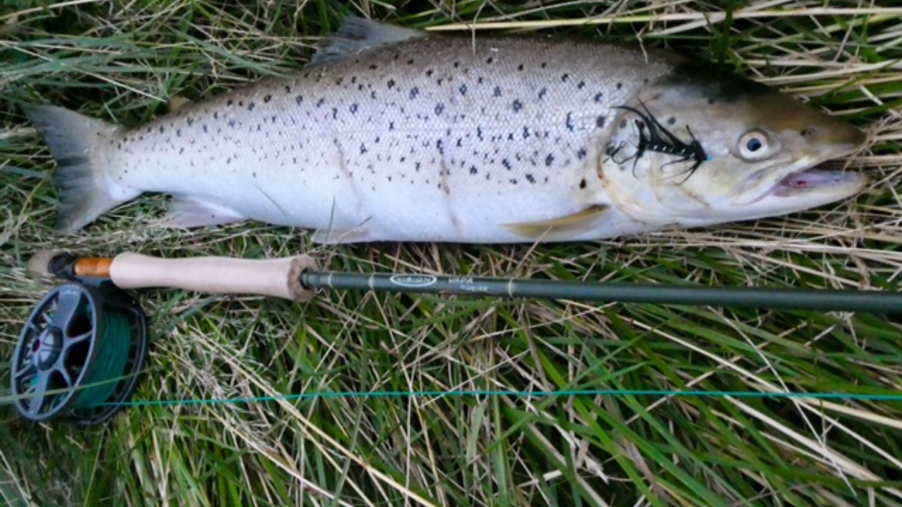 Henrik Rosendahl Kristiansen 1