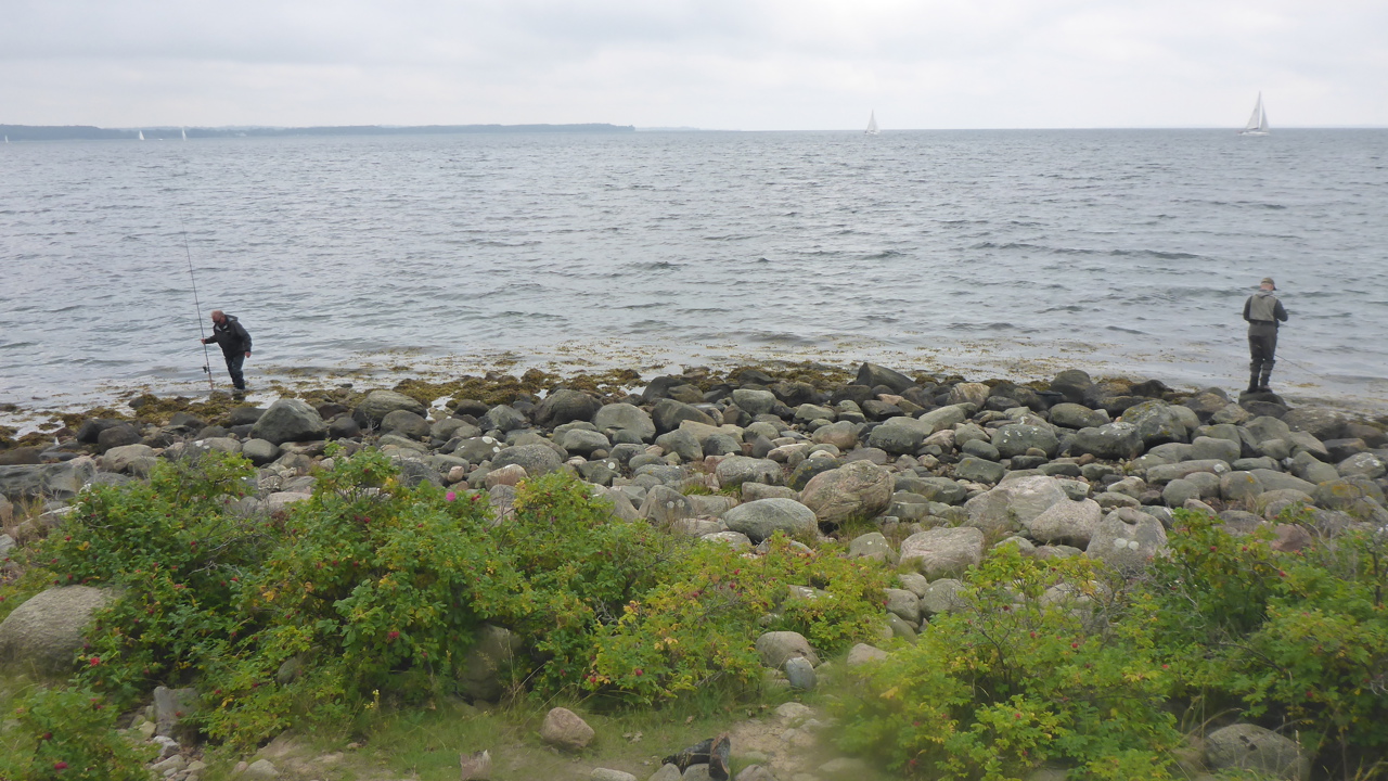 Tåsinge 4 (15)