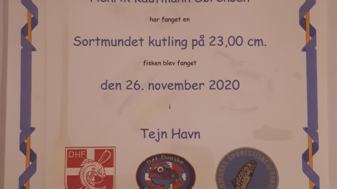 20210204 190937