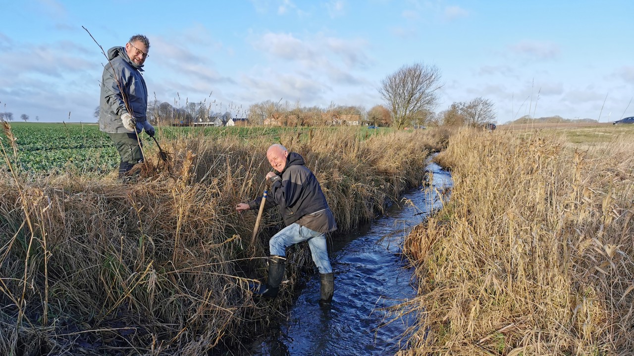 IMG 20211219 110615 (2)