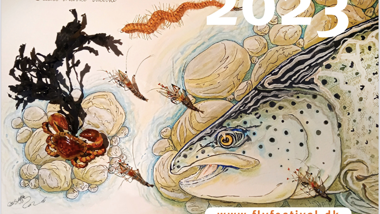 Danish Fly Festival 4 5 Matrs 2023 (1)