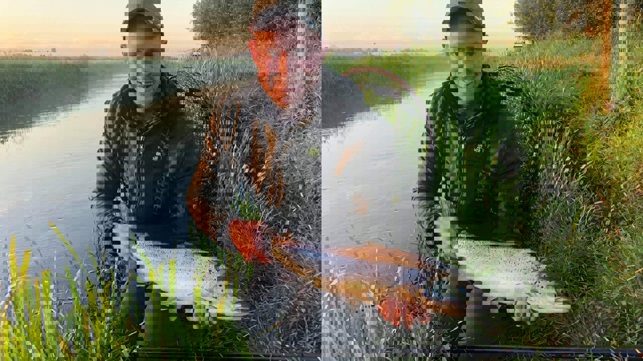 117349388 3293463267341356 7362090528631615888 N