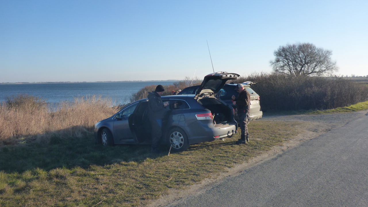 Odense Fjord 12.Marts (2)