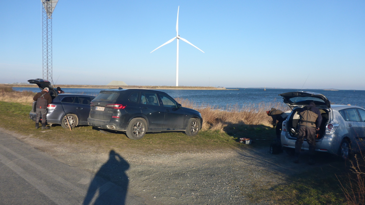 Odense Fjord 12.Marts (3)
