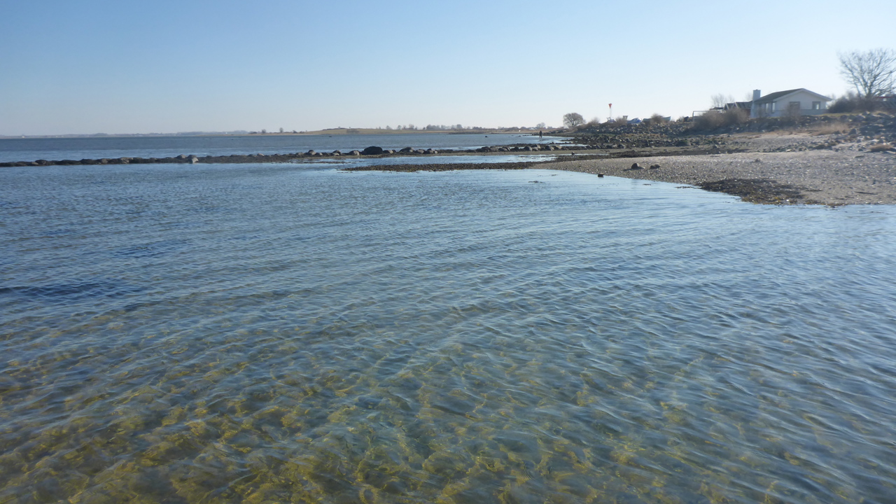 Odense Fjord 12.Marts (4)