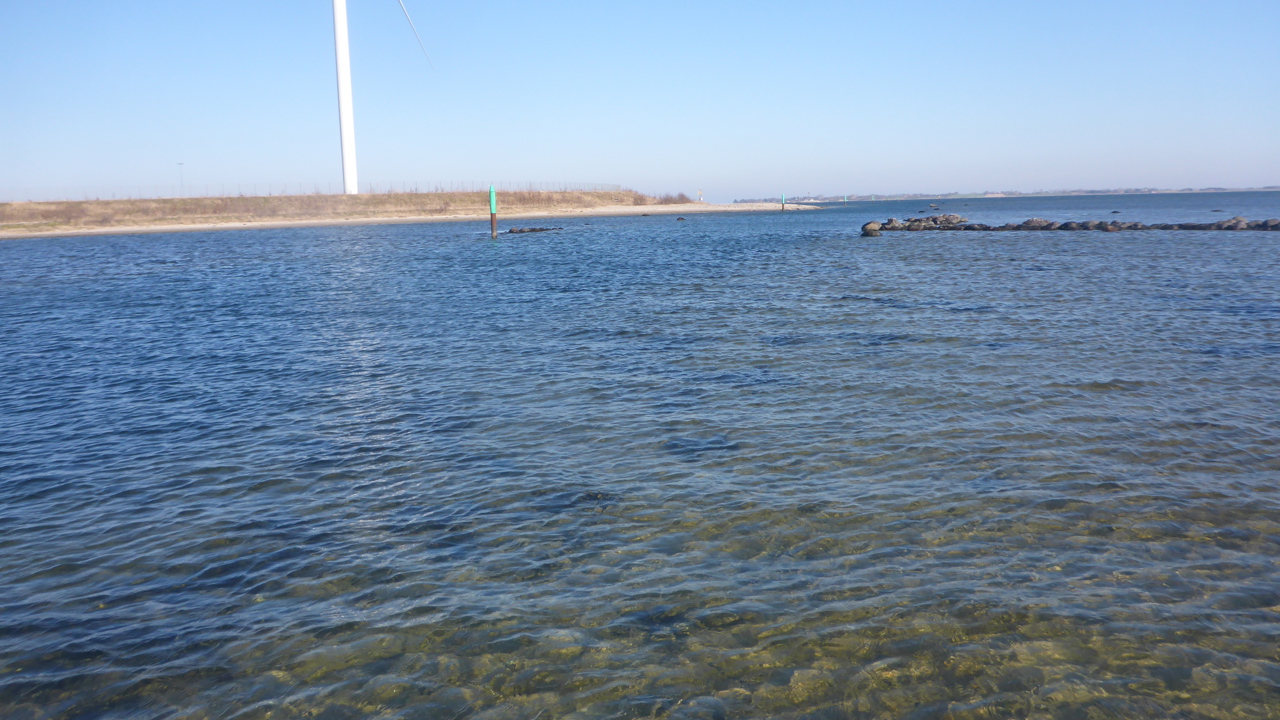 Odense Fjord 12.Marts (5)