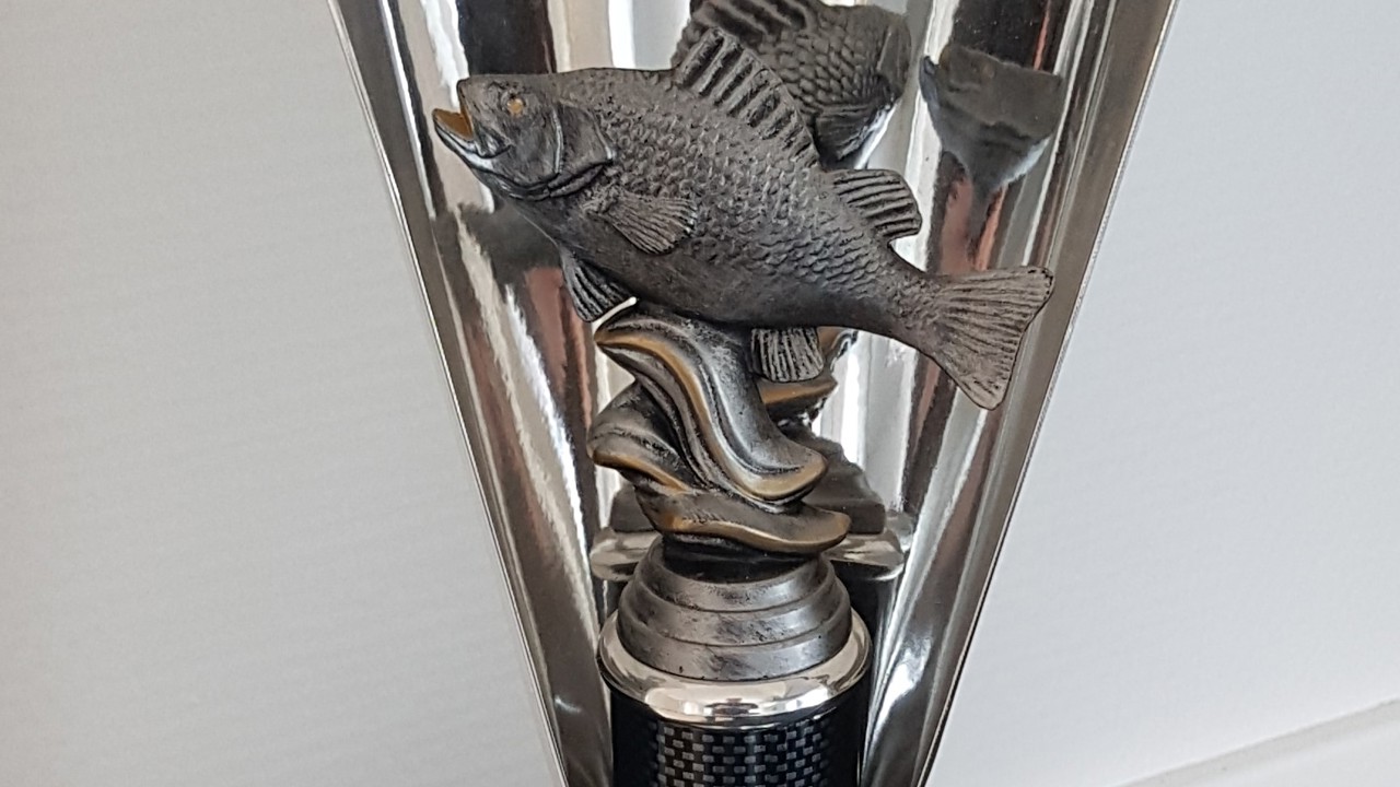 Pokal
