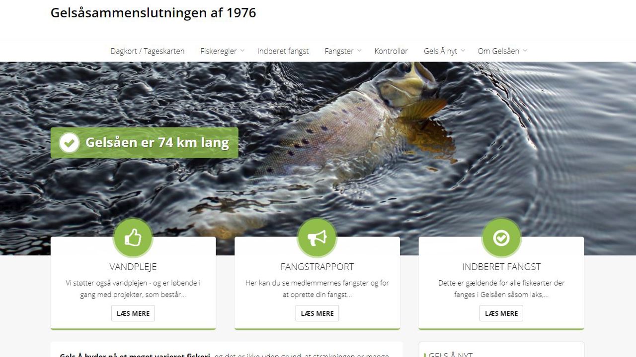 Gelså hj. side billede 1.JPG