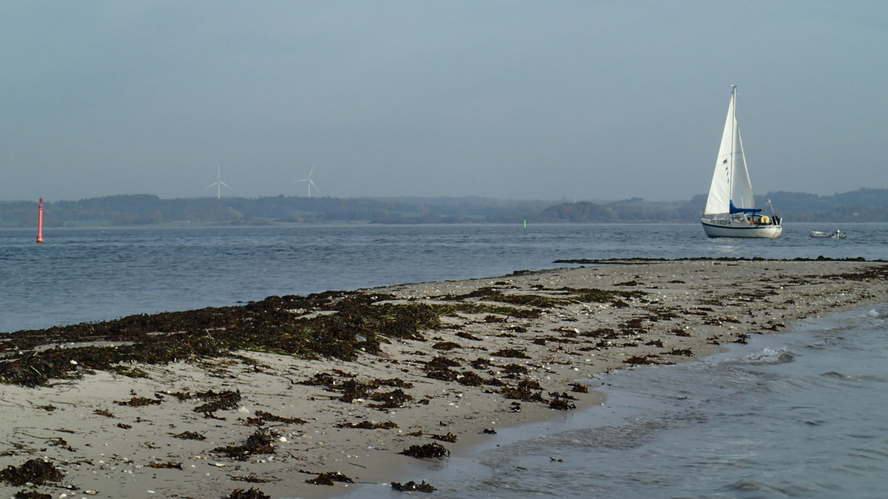 PA131268.JPG