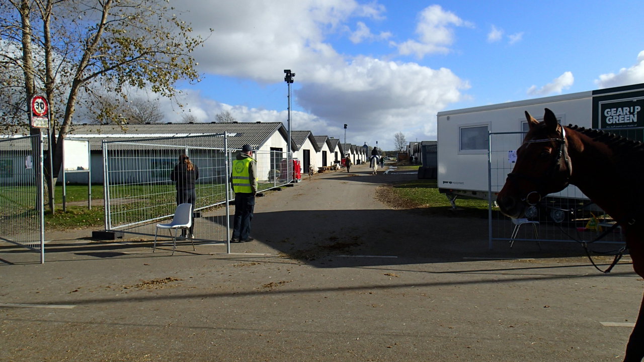 PA201272.JPG