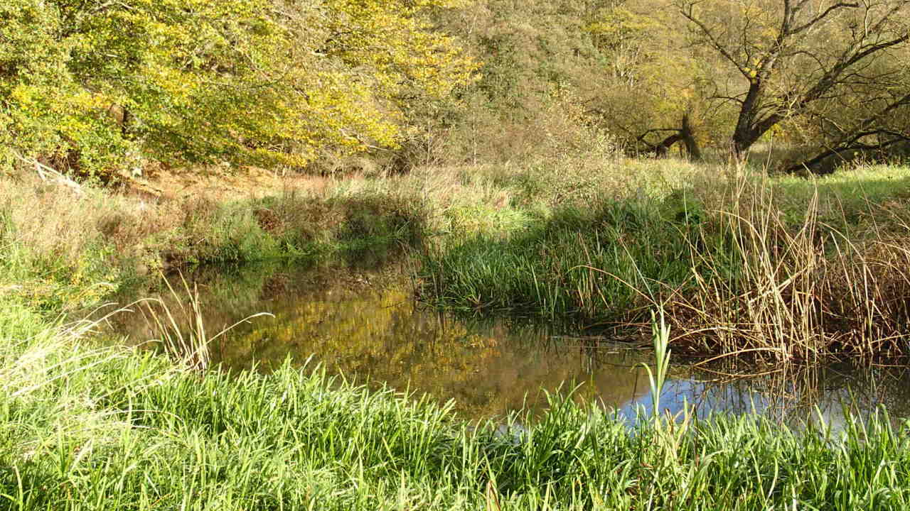 PA271284.JPG