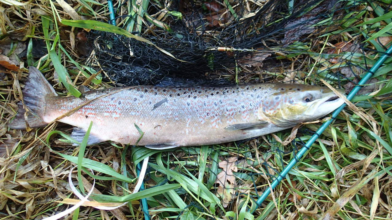 PA311285.JPG