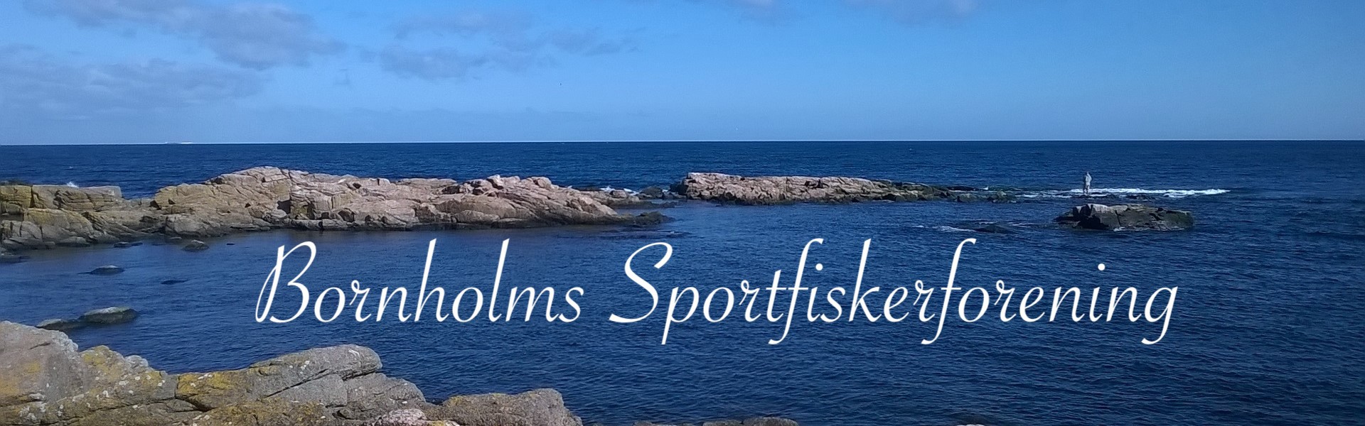 banner-bsf.jpg