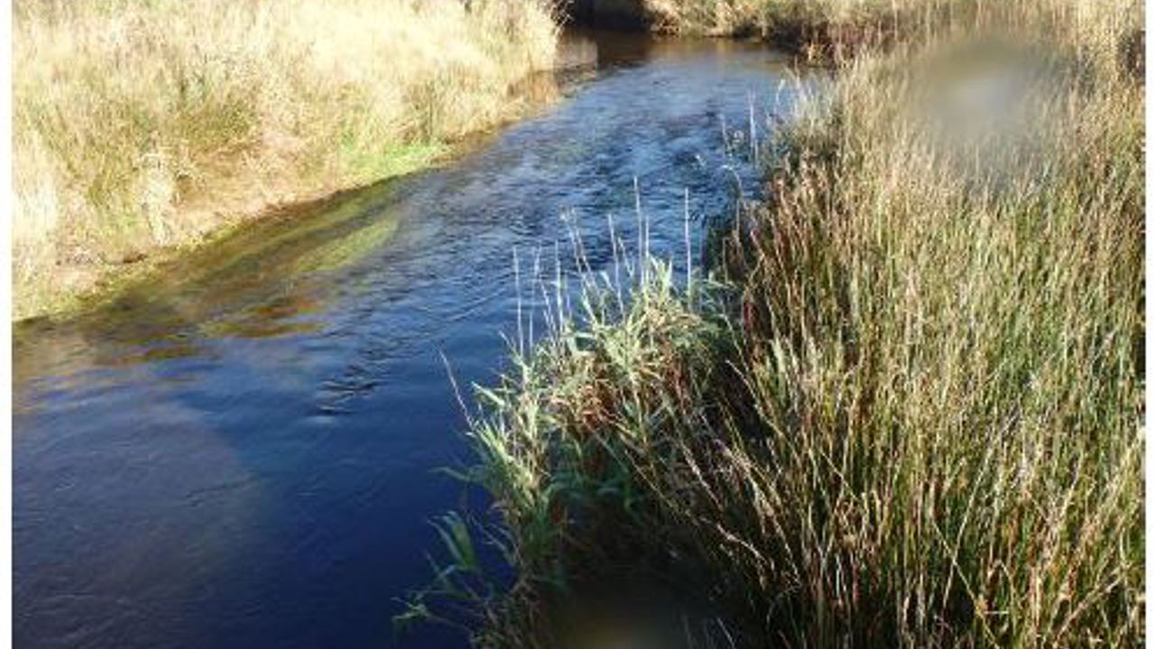 2018 Fiskeundersøgelser i Idom Å.JPG