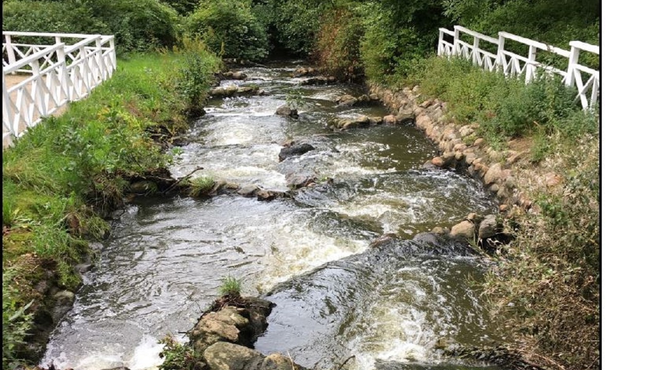 2018 Fiskendersøgelse af Lægård Bæk.JPG