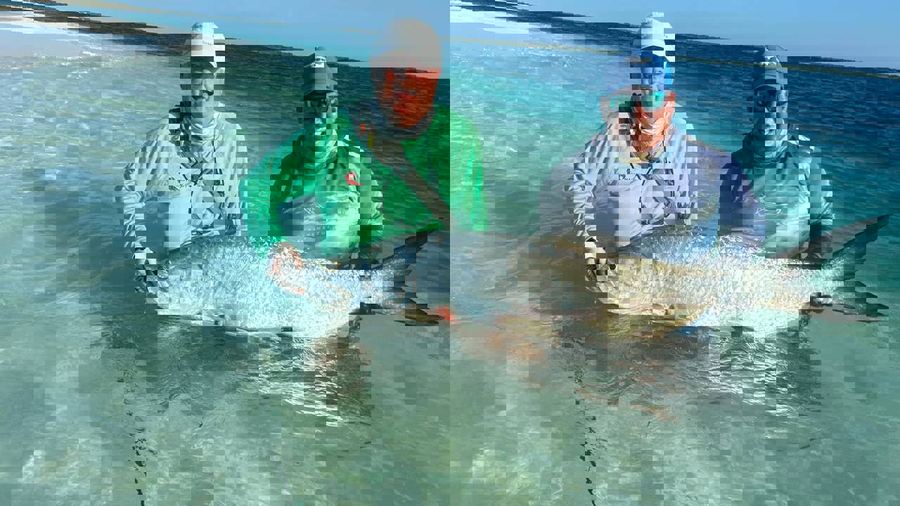 1000004816