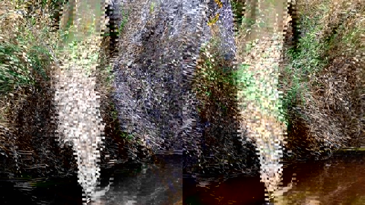 20180930_100405-02.jpeg