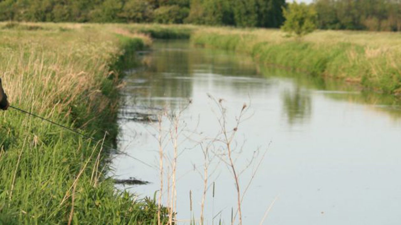 cropped-Gelsaa_2-1024x341.jpg