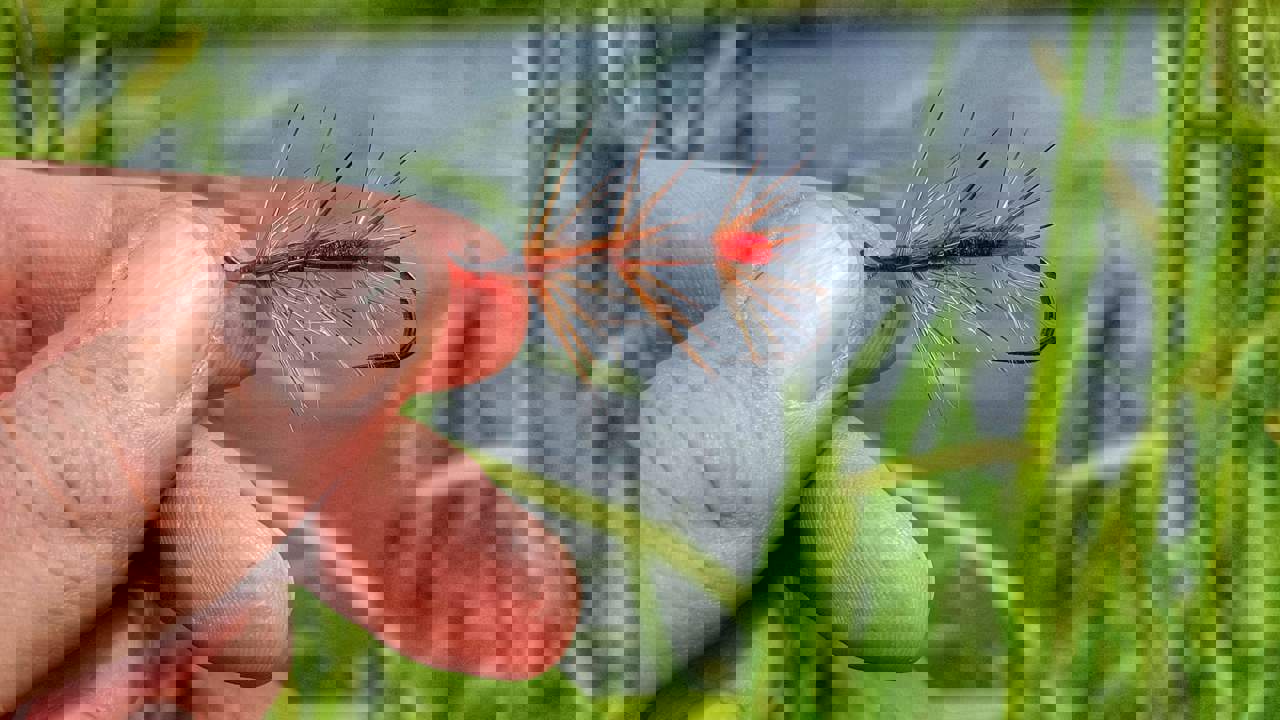 Uldsok.jpeg