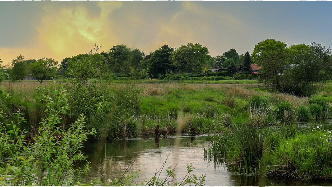 grindsted å grindsted forside.jpg