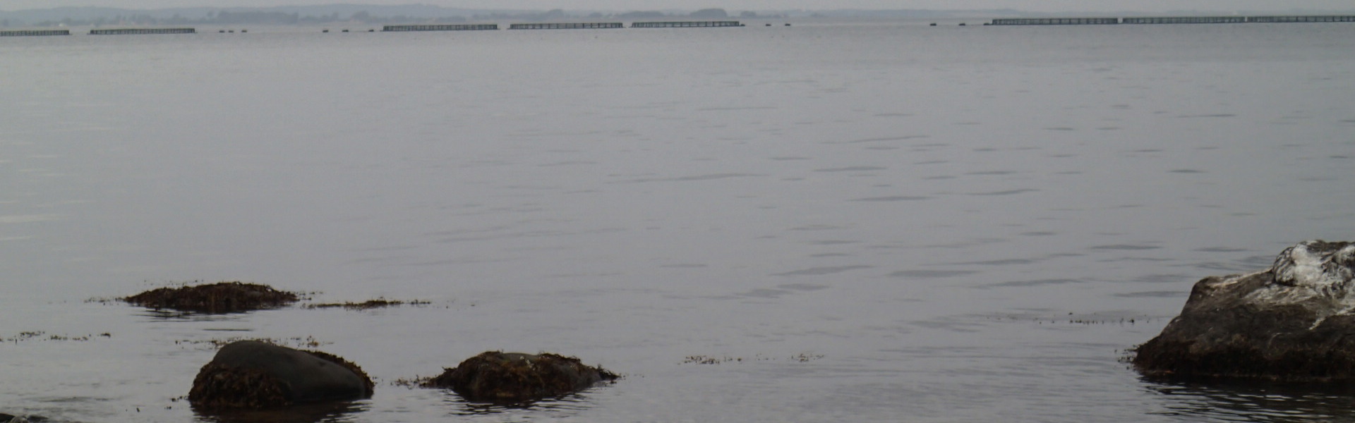 P8191181.JPG