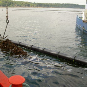 muslinge bærerør og net 1.JPG