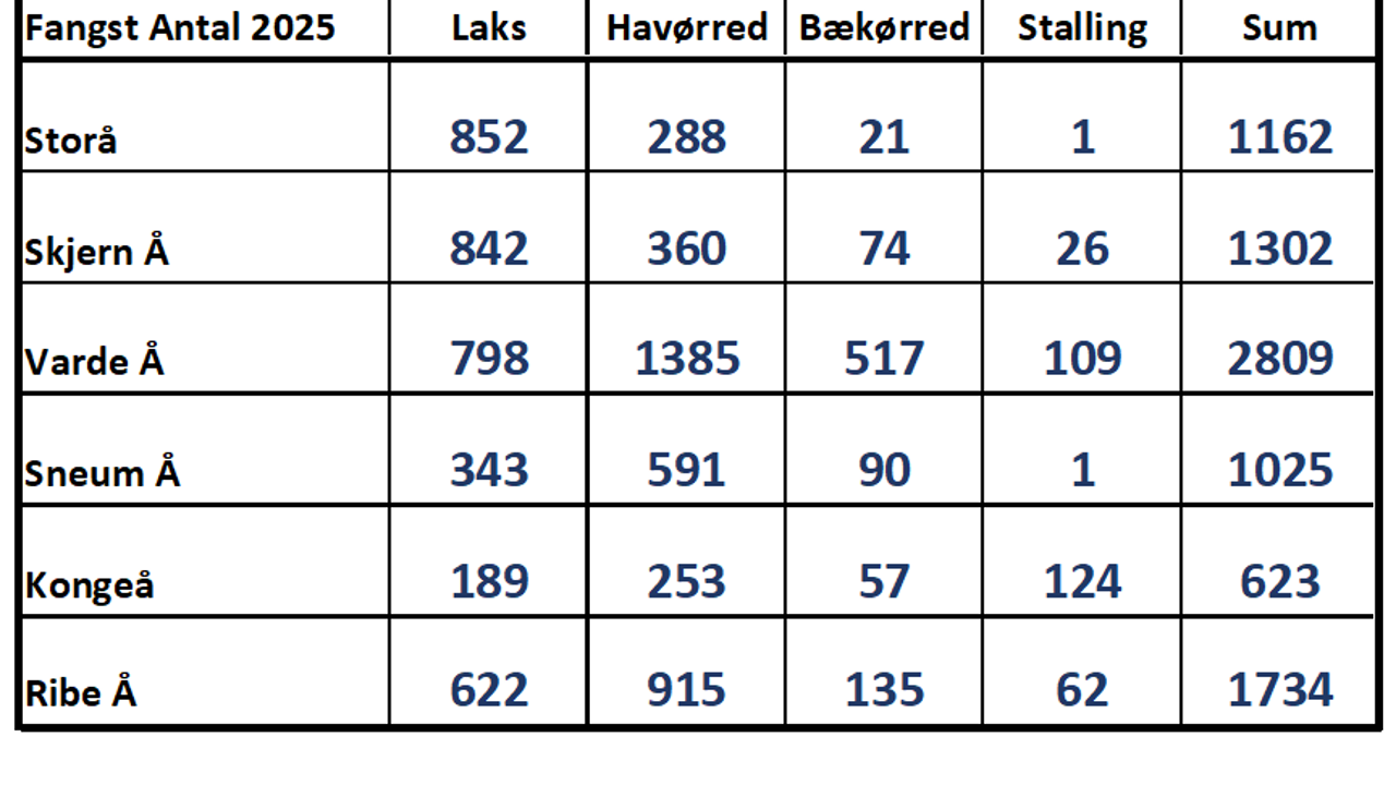 Fangst 2025 Vestjyske Vandløb