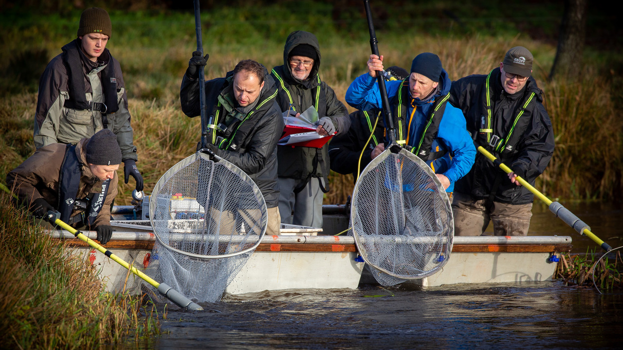 elektrofiskeri 01.jpg