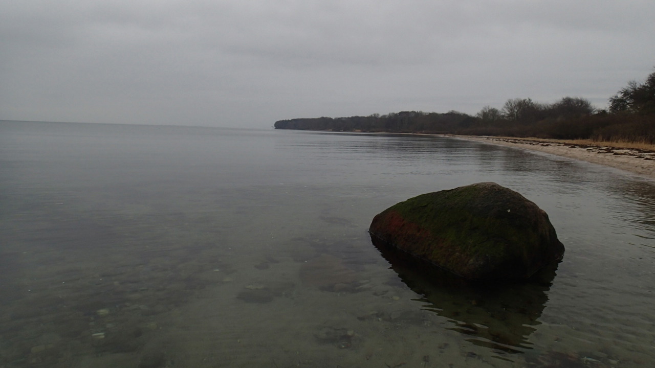 P2101404.JPG