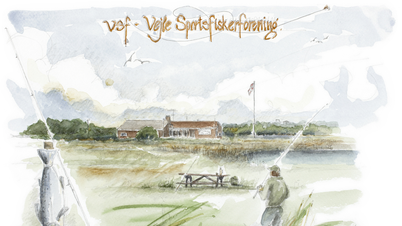VSF - Vejle Sportsfiskerforening