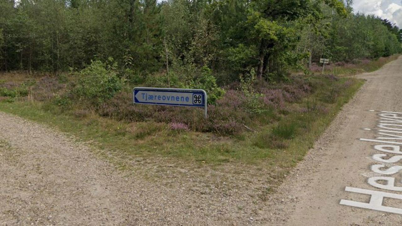 Tjæreovnene