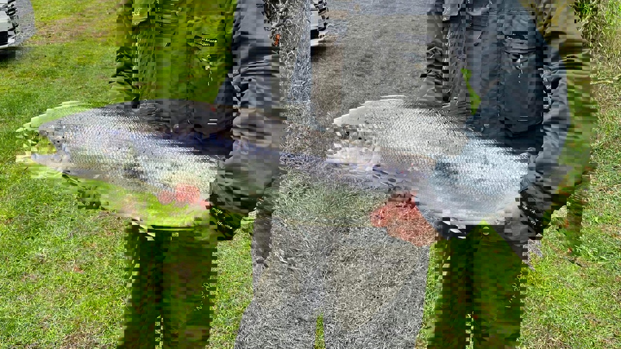 486512638 1161277836045611 7216245442871008134 N