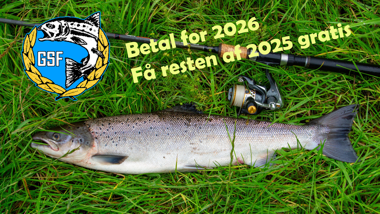 Betal For 2026 Få Resten Gratis Kopier