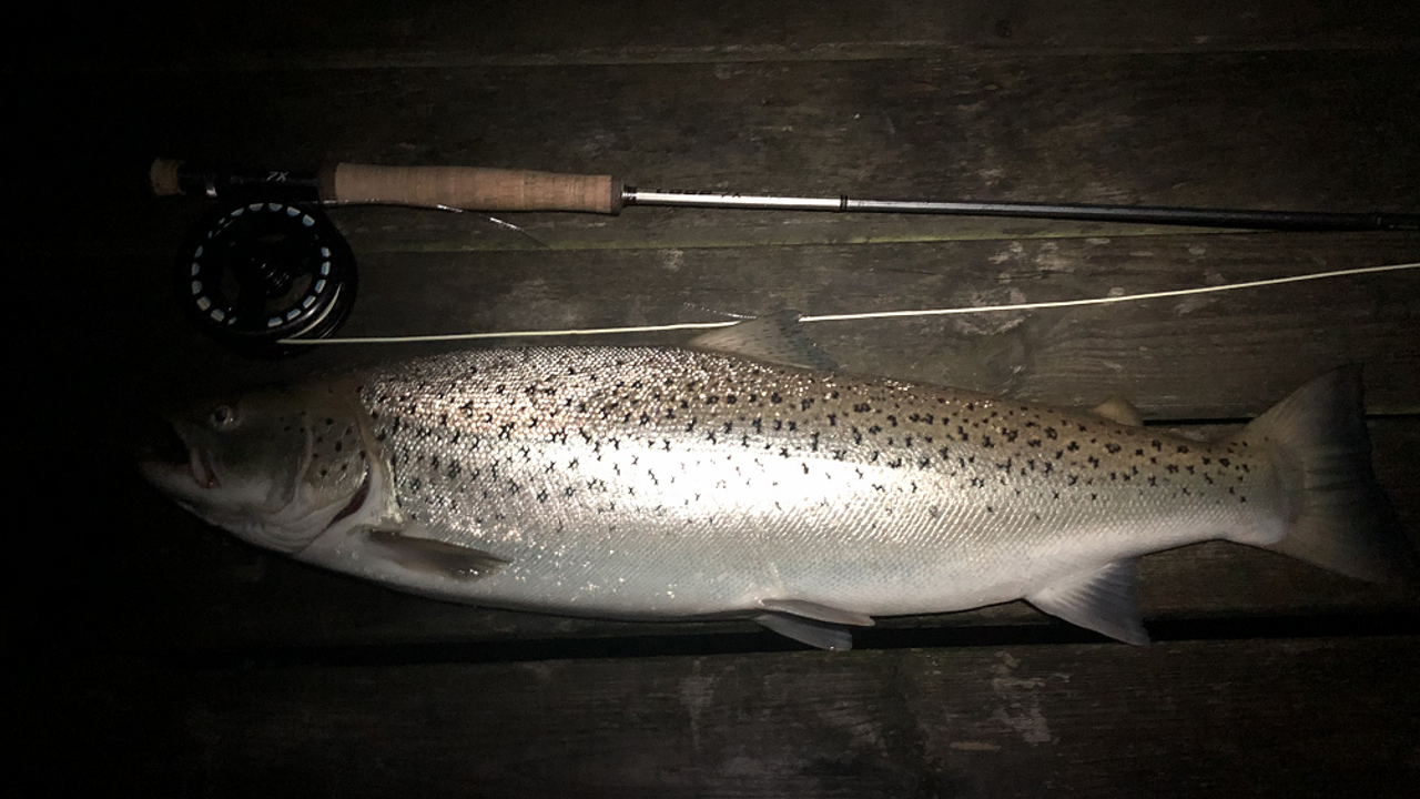 Simon Neumärker 74 Cm 2022 06 13