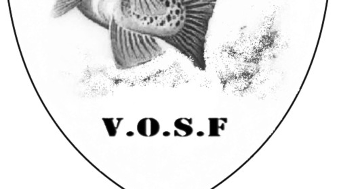 Ny Logo 2026 (1)