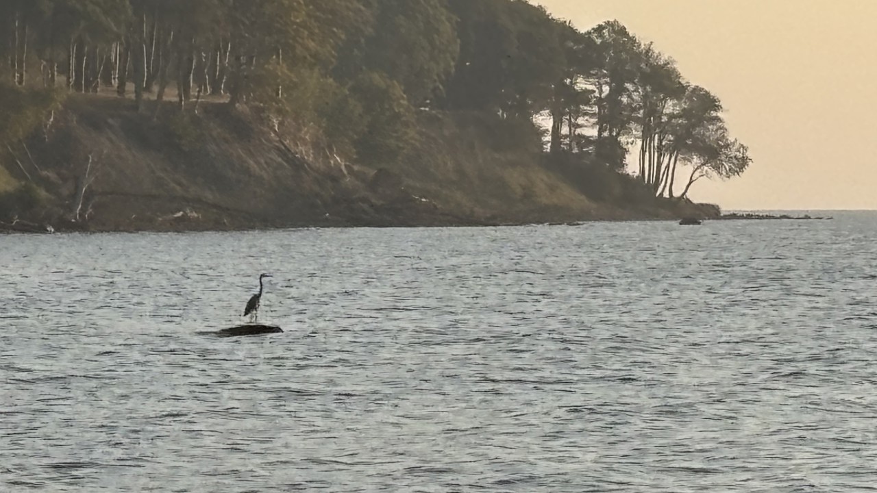 5Æbelø 2025