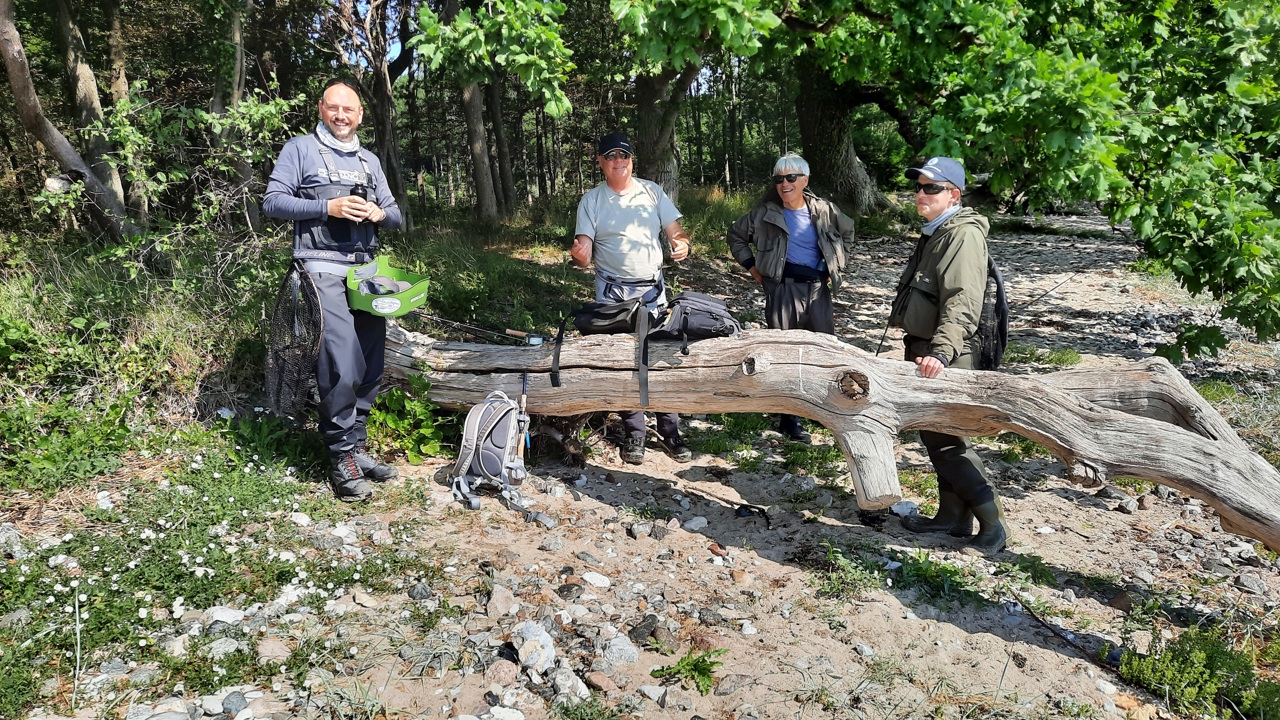 Thurø Juni 2023 (8)