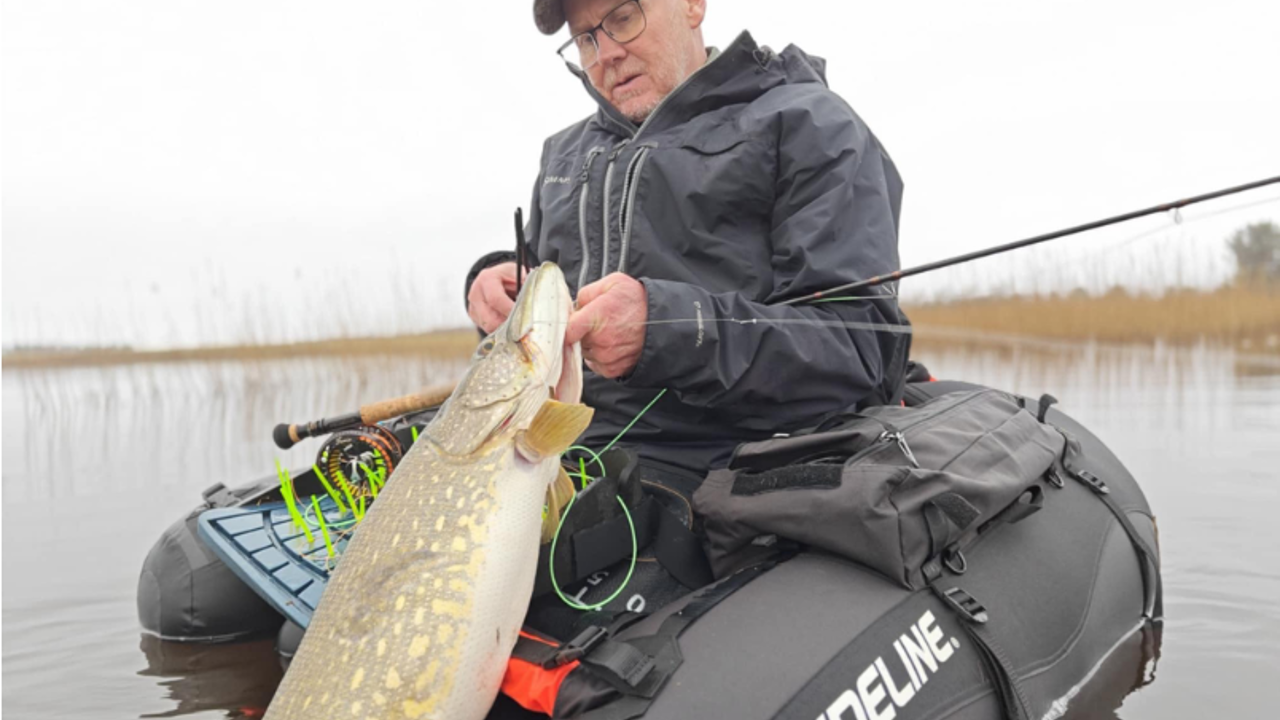 Screenshot 2024 11 02 At 18 13 21 Aktivitetskalender 2024 25 Aktivitetskalender 2024 25.Pdf