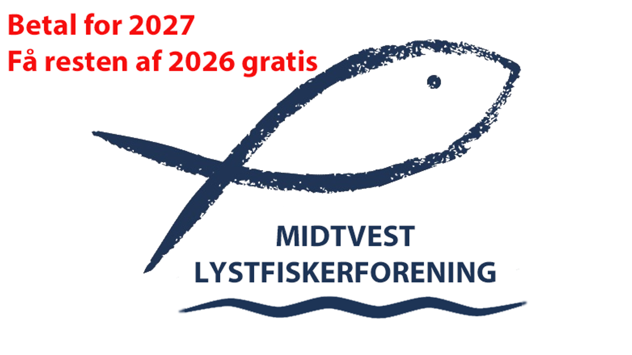 Betal For 27 26 Gratis